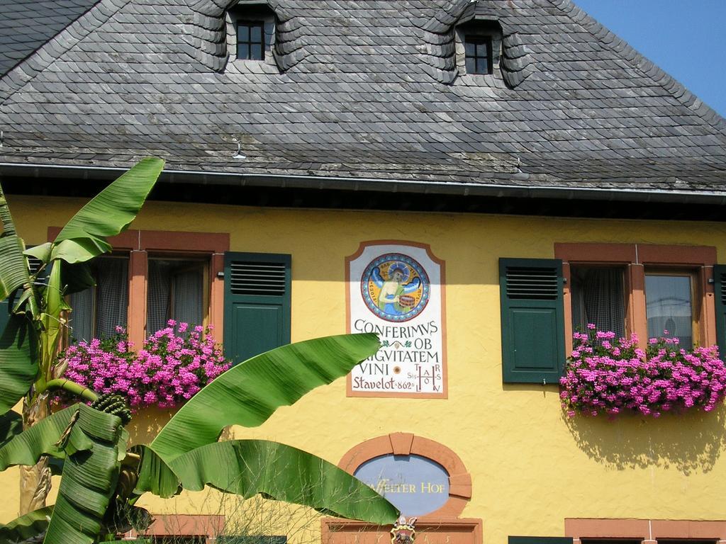 Bio-Weingut Staffelter Hof Guest House Krov Bagian luar foto